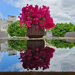 Rafaelia Premium With Private Pool In *