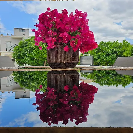 Rafaelia Premium With Private Pool In *