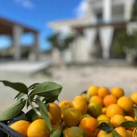 Rafaelia Premium With Private Pool In Βίλα *