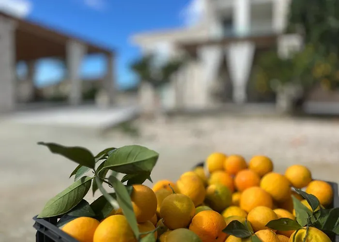 Rafaelia Premium With Private Pool In Villa *